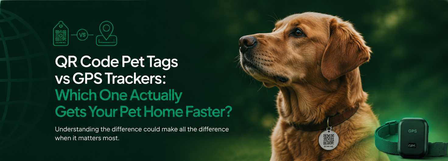 GPS tracker and QR pet tag side by side