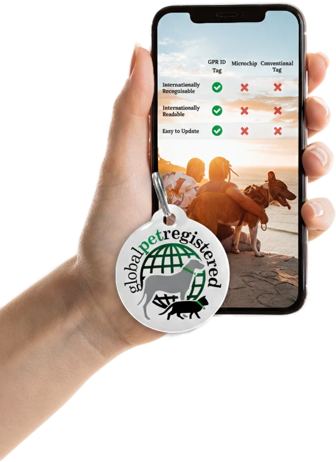 Hand holding a phone showing GPR services